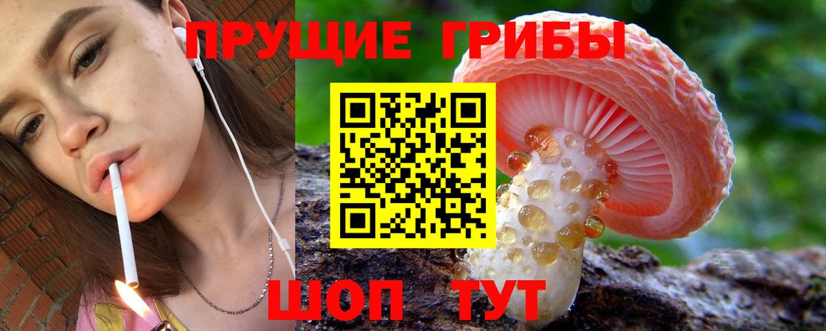 Псилоцибиновые грибы GOLDEN TEACHER  Вход с VPN  Медногорск 